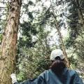 Is an arborist the same as a tree cutter?