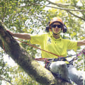 How much do tree climbers make in hawaii?