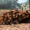 What are the people that cut down trees called?