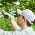What are the different types of tree trimming?