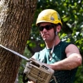 Is arborist a hard job?