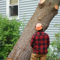 What state pays the most for tree service?