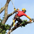 How much do tree climbers make in colorado?