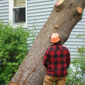 How much do tree cutters make in canada?