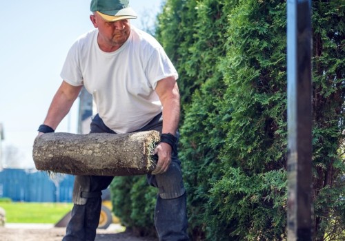What is the tree service industry called?