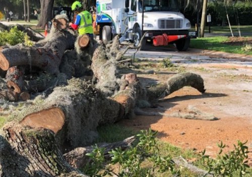 What is another name for tree service?