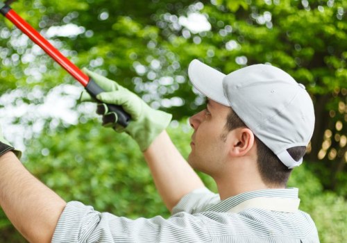What are the different types of tree trimming?