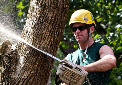 Is arborist a hard job?