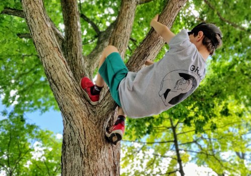 What is the climbing a tree?