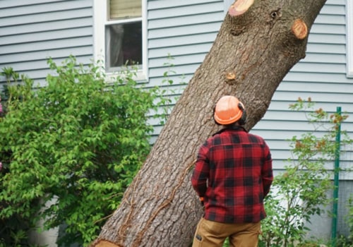 What state pays the most for tree service?