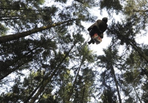 What state pays tree climbers the most?